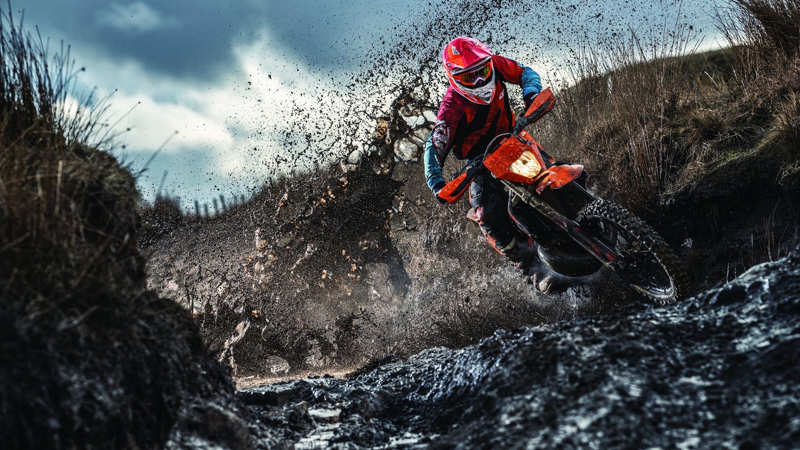 动画人物亲子趣味运动会 宝宝与卡通形象互动合影